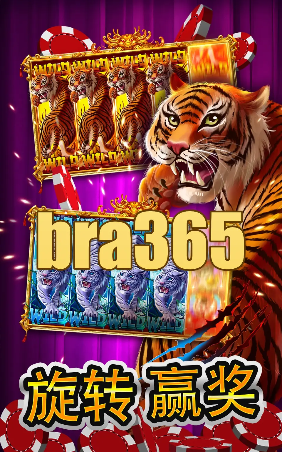 bra365 APK